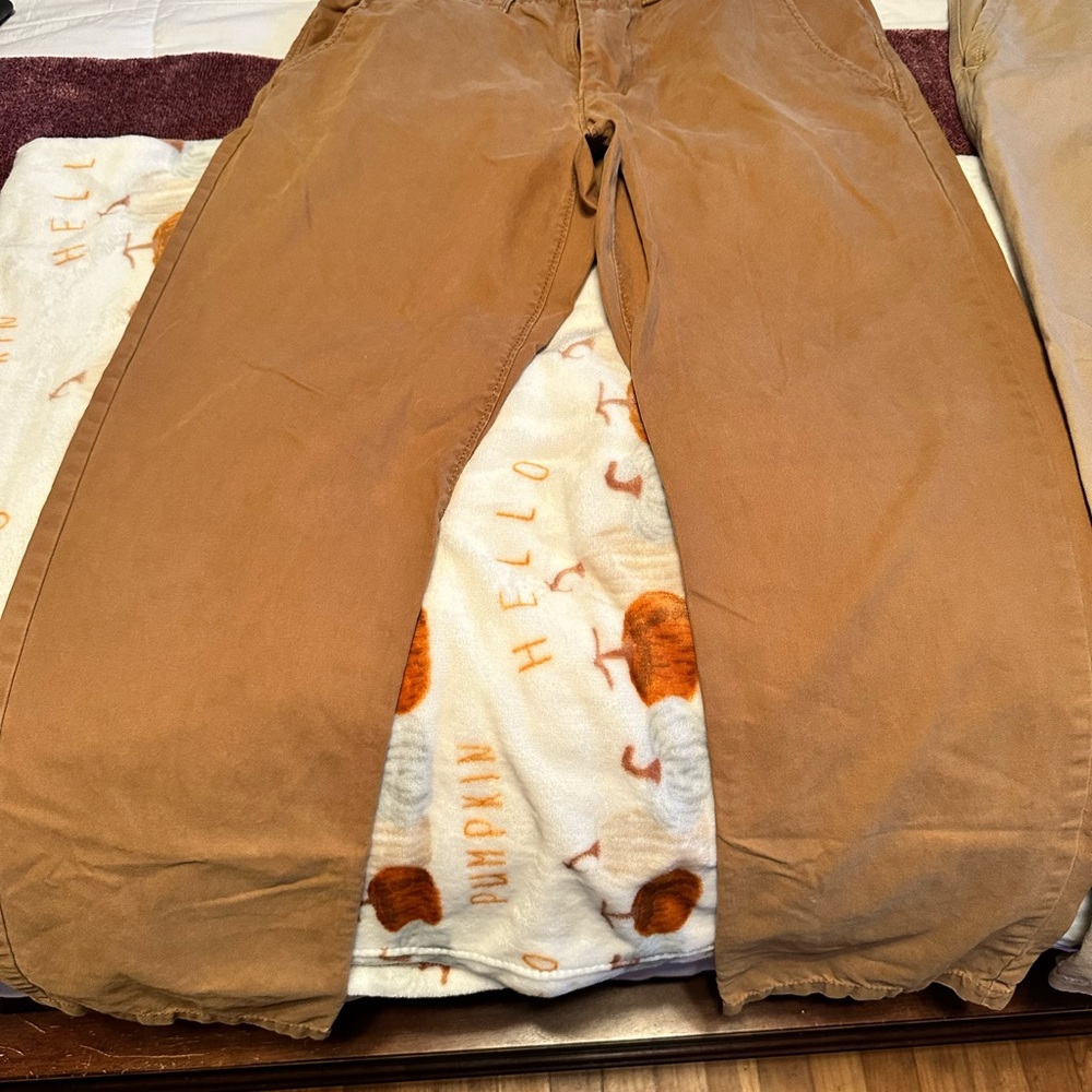 American Eagle Outfitters Men's Brown Chinos